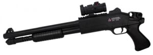Shotgun